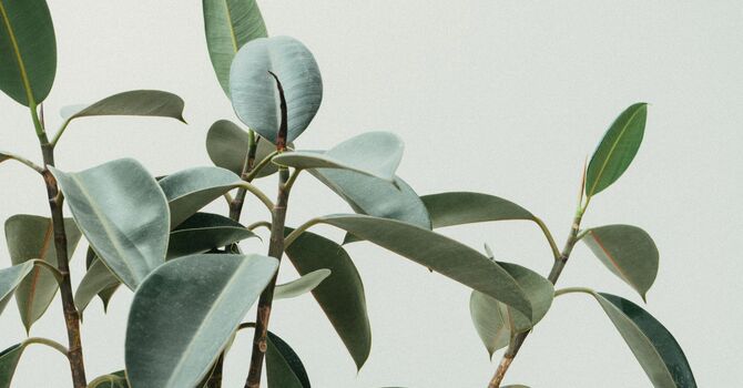 What's Going On When Your Hips Are Making Noise?