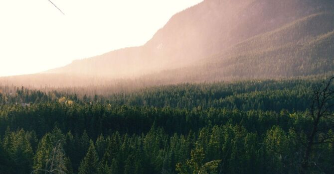 What's Going On When Your Hips Are Making Noise? image